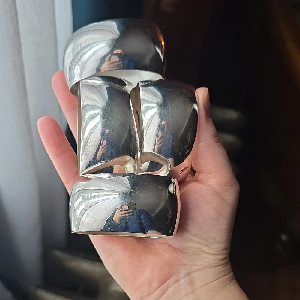 Pier 1 Silver Napkin Rings Set